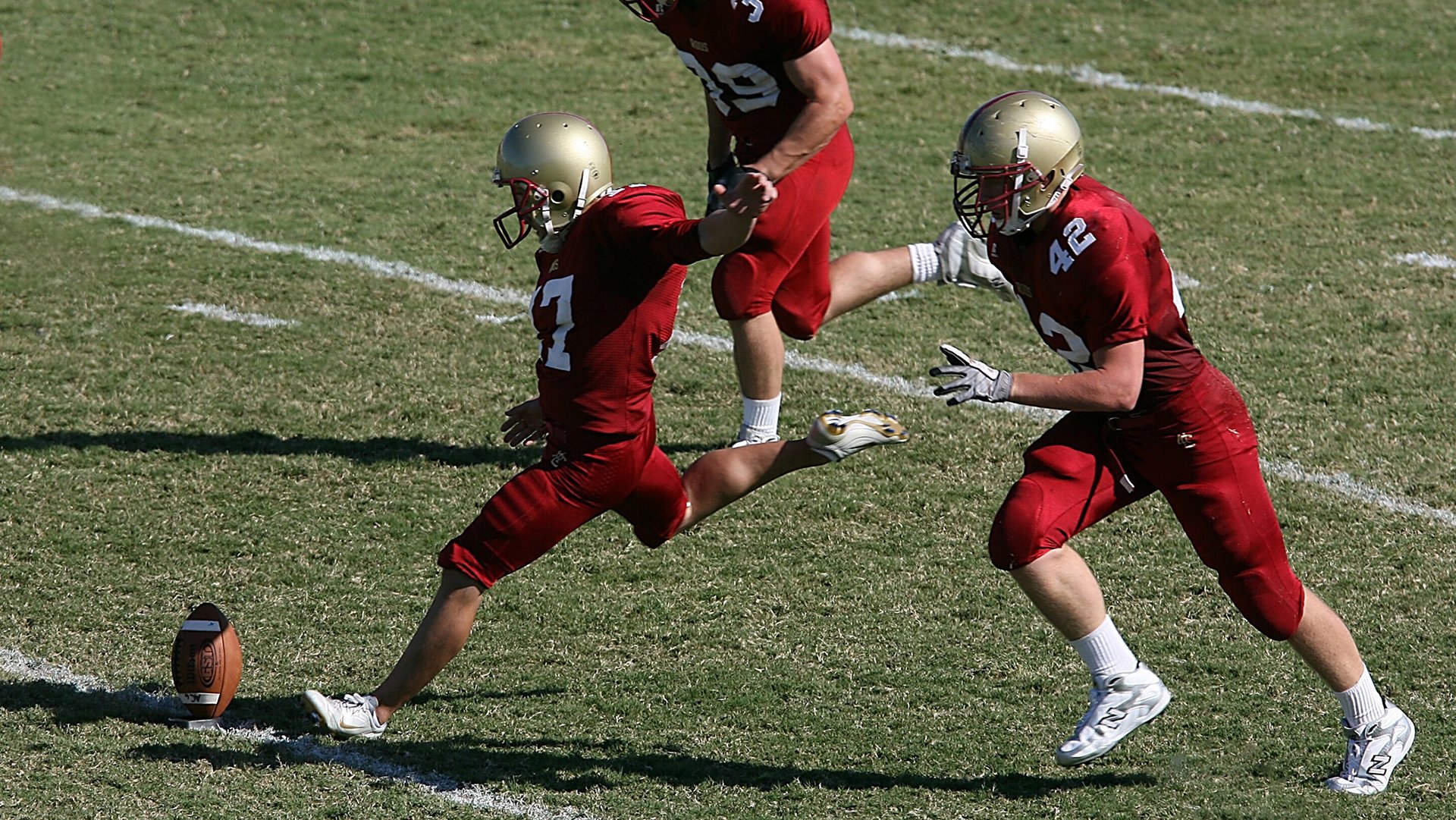 九游登录入口-北京鸭赛季目标明确全力冲击前列，北京鸭苗图片