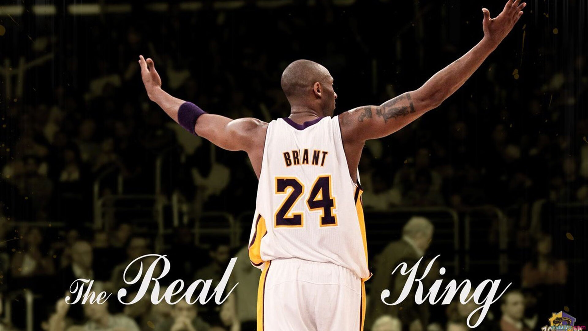 “篮球+健康”公益项目在全国各地同步推动，增强青少年体魄，公益篮球的宣传语