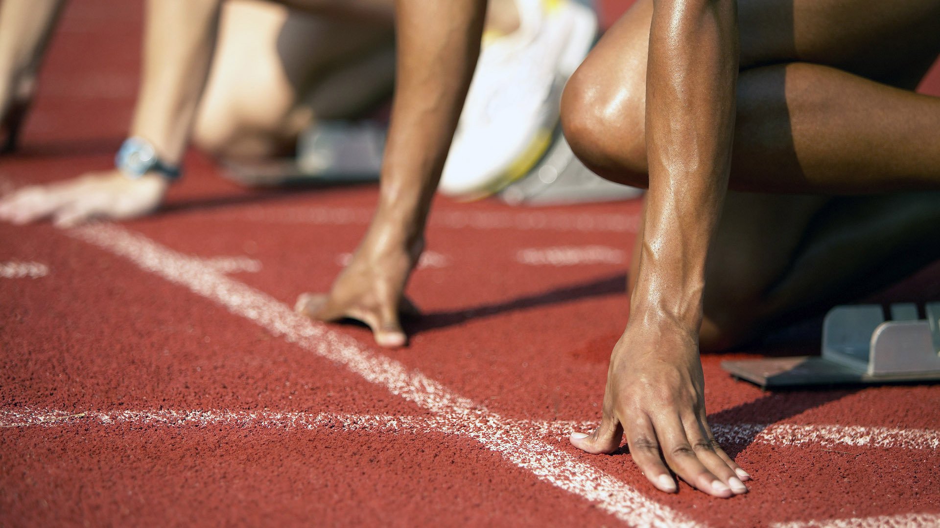 墨西哥马术协会举办国际马术科技大会,推动行业技术交流与合作。